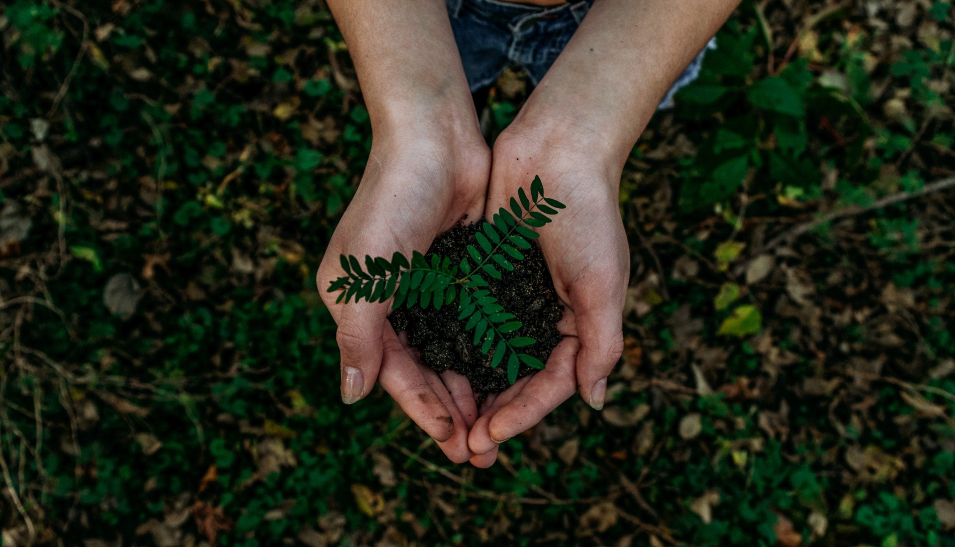 Tendências em crescimento: ESG e o investimento sustentável